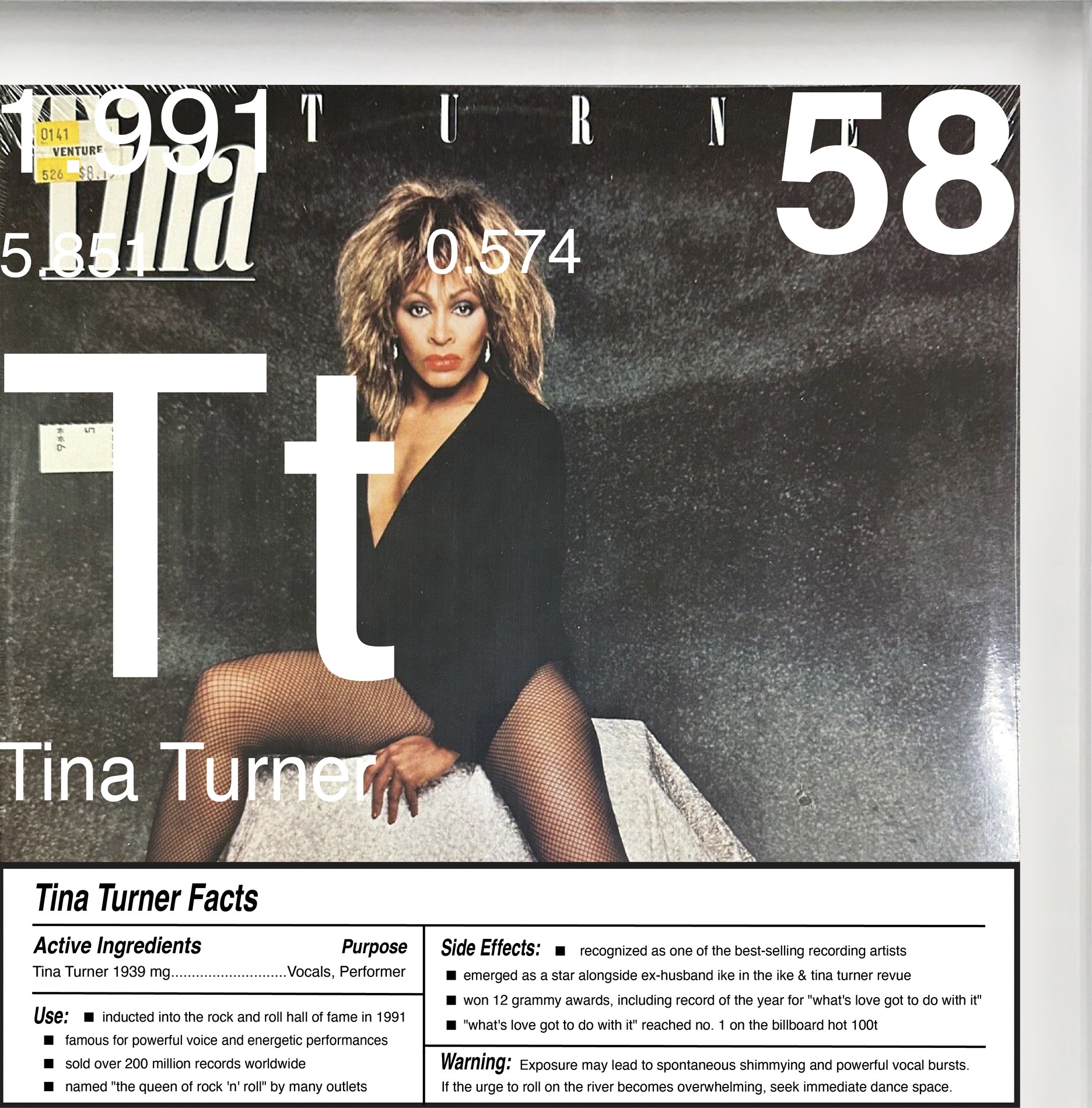 Tina Turner artwork